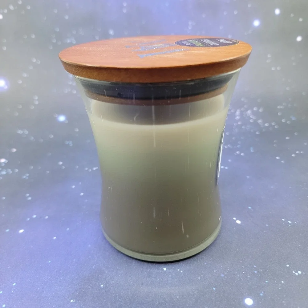 WoodWick Trilogy Vanilla Sea Salt Palm Leaf Sand Driftwood 9.7 Oz Jar Candle New